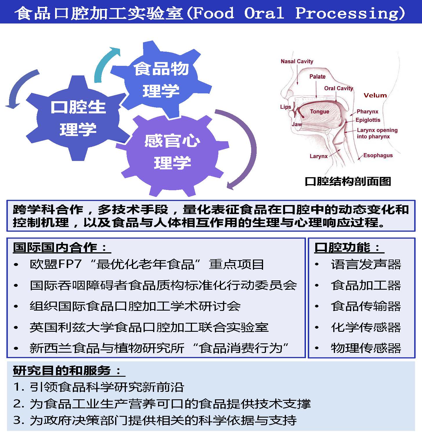 Food Oral Processing Lab Poster Xinmiao Aug 9, 2017_Page_3.jpg